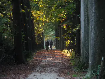 Vagevuurbos an Lippensgoed-Bulskampveld (Belgium)